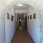Eco-selo Bauernhof Grabovica