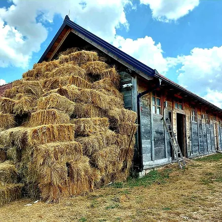 Eco-selo Grabovica