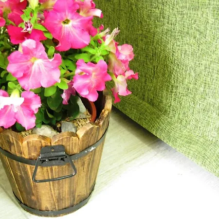 Alojamento de Turismo Rural Eco-selo *