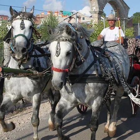 Alojamento de Turismo Rural Eco-selo