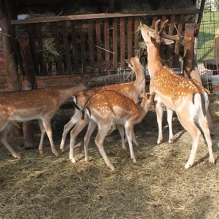 Eco-selo Séjour à la ferme
